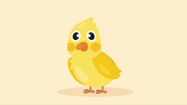 小さくて可愛い黄色い鳥のアニメーション4Kビデオアニメ — ストック動画