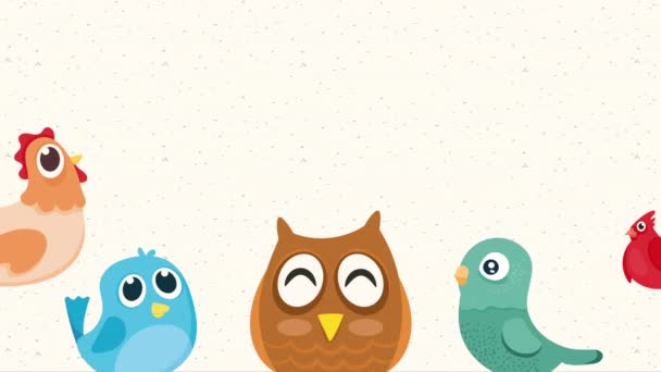 Słodkie Ptaki Zwierzęta Postacie Animacja Wideo Animowane — Wideo stockowe