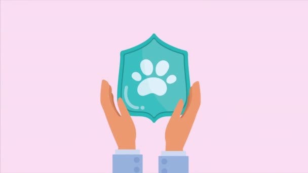 Tarcza Pet Paw Usługi Ubezpieczeniowe Animacja Wideo Animowane — Wideo stockowe