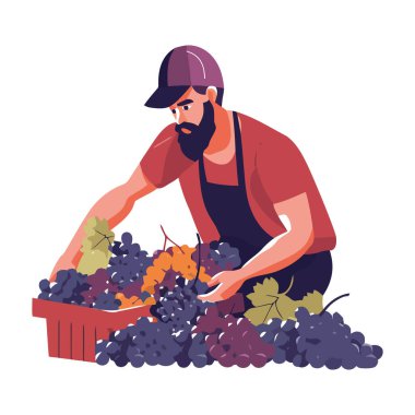 Bir çiftçi bir sepet olgun üzüm ikonu tutuyor.