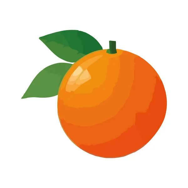 Saftige Zitrusfrüchte Orangen Essen Symbol Isoliert — Stockvektor