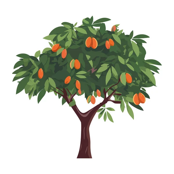 Hojas Verdes Frescas Naranjas Árbol Icono Aislado — Vector de stock