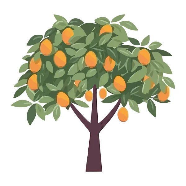 Fresh Orange Fruit Tree Nature Icon Isolated — Stock Vector
