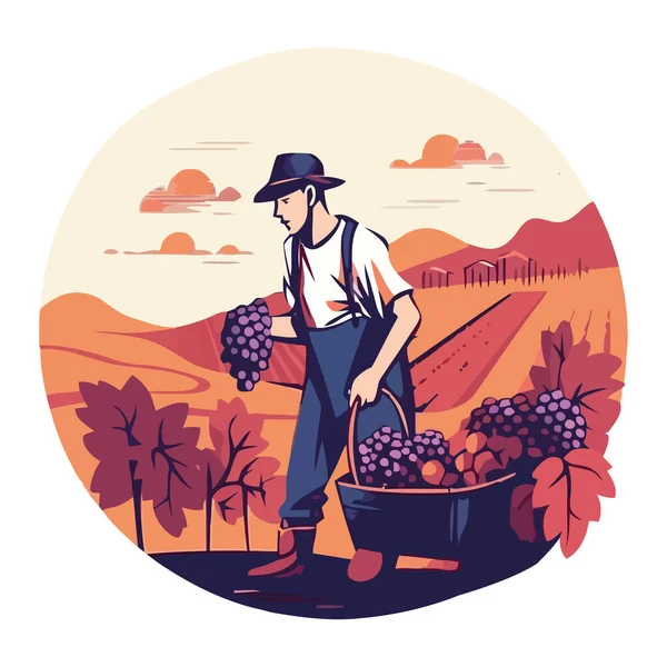 Sepet tutan, dışarıda üzüm toplayan, izole bir adam.