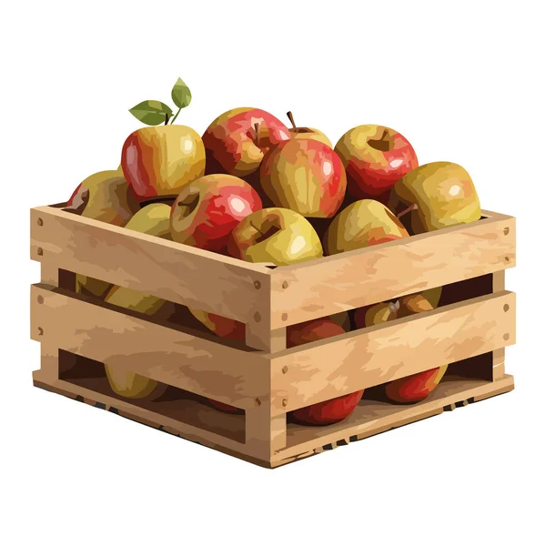 Juicy Apples Wooden Crate Symbol Harvest Icon Isolated — Stock Vector