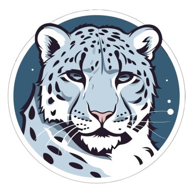 Beyaz yerine kış kedisi avcısı