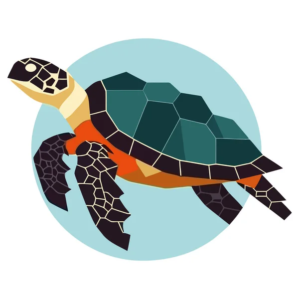 Симпатичная Черепаха Медленном Водном Ползании Изолирована — стоковый вектор