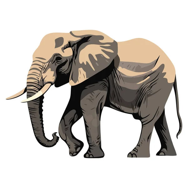 被隔离的非洲大象 — 图库矢量图片