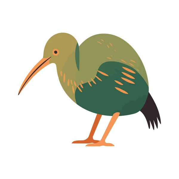Cute Kiwi Bird Green Blue Feathers Icon Isolated — Stock Vector