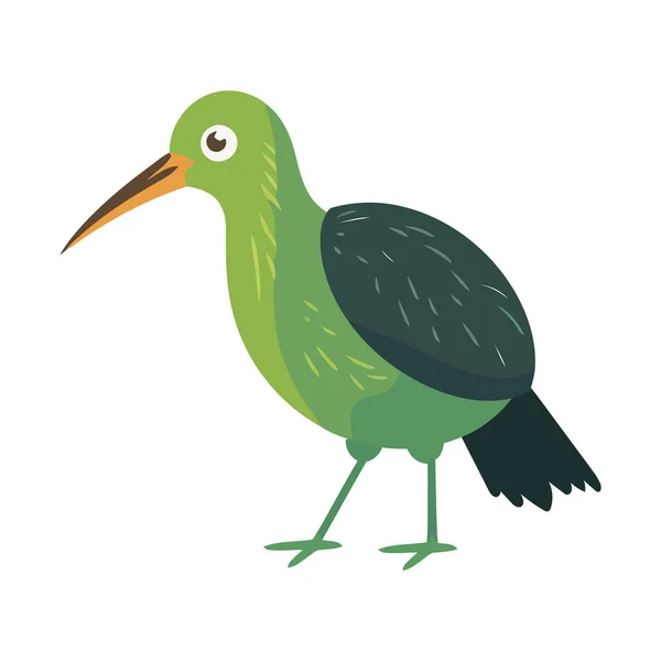 Niedlicher Kiwi Vogel Mit Langem Gipfelsymbol Isoliert — Stockvektor