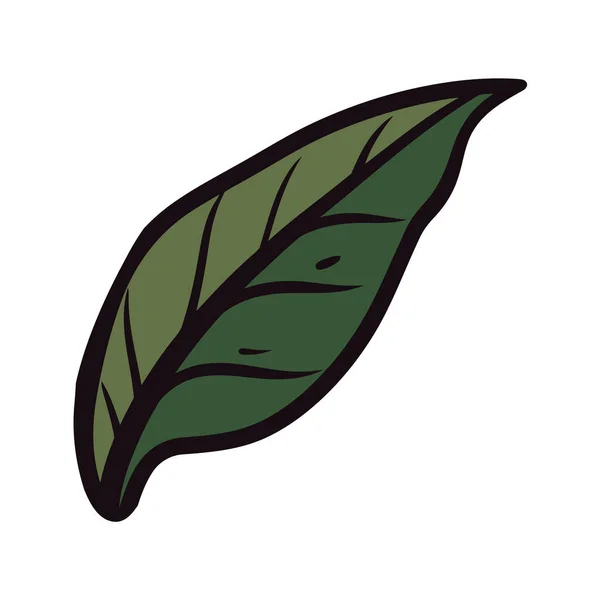 緑の葉は自然の美しさと成長のアイコンを象徴する — ストックベクタ