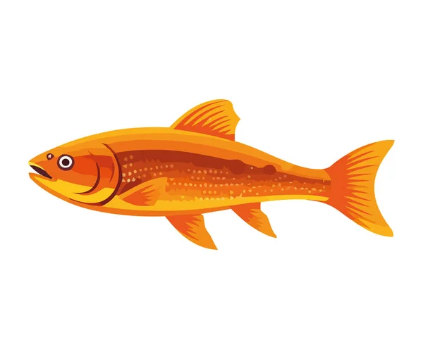 Goldfish Vida Marina Animal Icono Aislado — Vector de stock