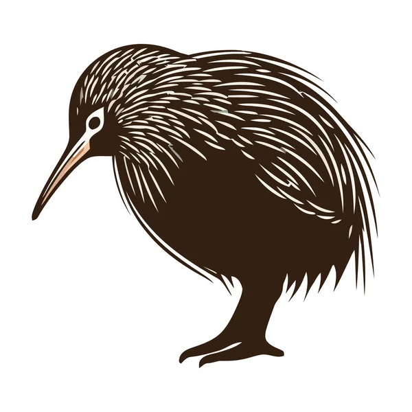 Kiwi Oiseau Sur Fond Blanc Icône Vectorielle Isolé — Image vectorielle