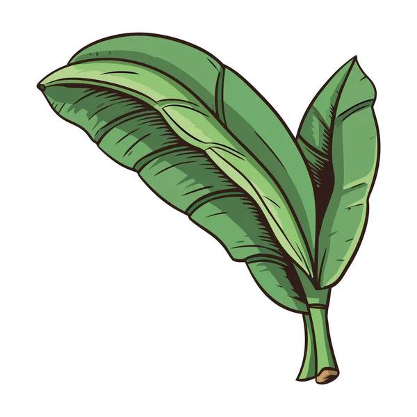 绿树象征着有机自然生长的象征 — 图库矢量图片