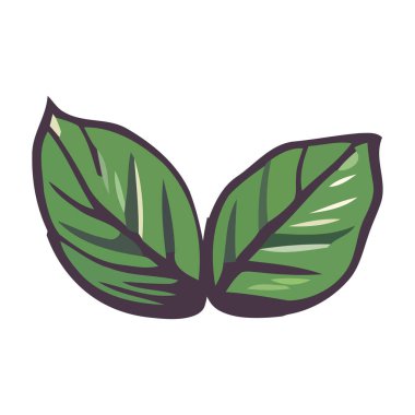 Organik bitki ve büyüme ikonu izole edildi