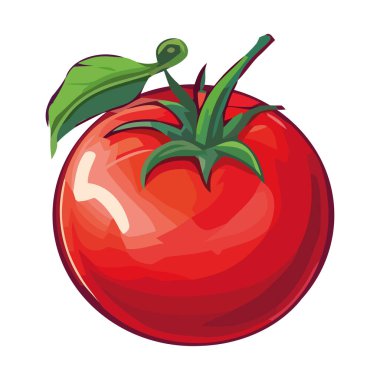 Taze organik domates olgun ve sulu ikon izole edilmiş.