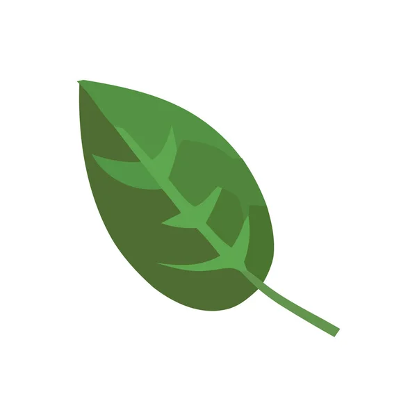 Foglia Verde Simboleggia Crescita Freschezza Nella Natura Icona Isolata — Vettoriale Stock