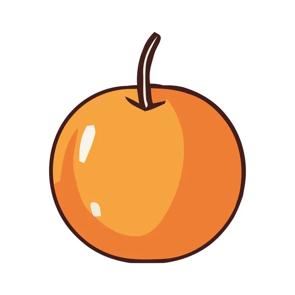 Soczyste Owoce Pomarańczowe Dojrzała Świeżość Ikonie Przyrody Izolowane — Wektor stockowy