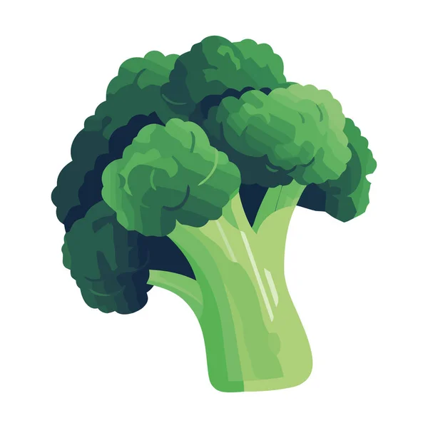Brokoli Segar Dan Kembang Kol Makanan Vegetarian Sehat Terisolasi - Stok Vektor