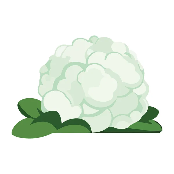 Πράσινο Φυτό Εγκεφάλου Συμβολίζει Την Ανάπτυξη Και Φαντασία Απομονωμένα — Διανυσματικό Αρχείο