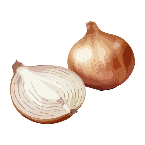 Cebolla Fresca Perfecta Para Cocinar Icono Aislado — Archivo Imágenes Vectoriales