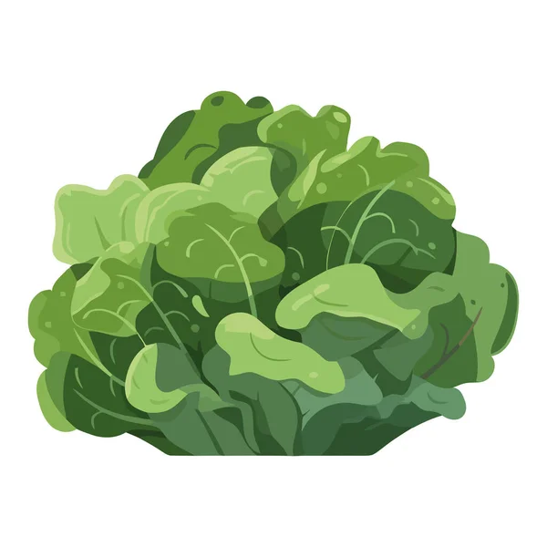 Čerstvé Vegetariánské Salát Organické Složky Ikona Izolované — Stockový vektor