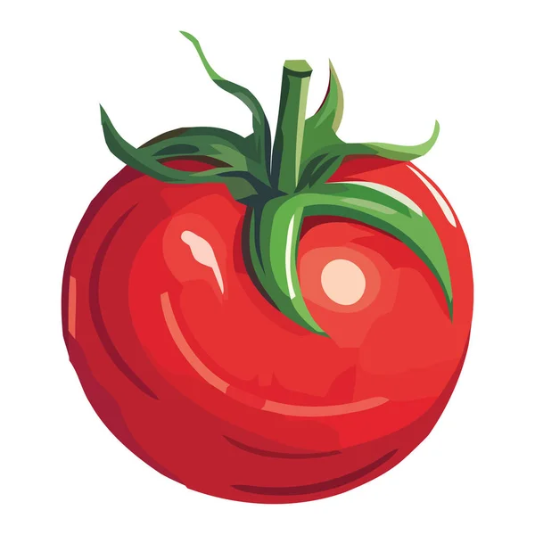 Organic Tomato Ripe Juicy Vegetable Icon Isolated — Stock Vector
