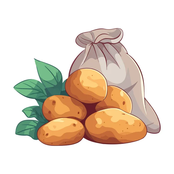 Frisch Geerntete Kartoffeln Und Säcke Isoliert — Stockvektor