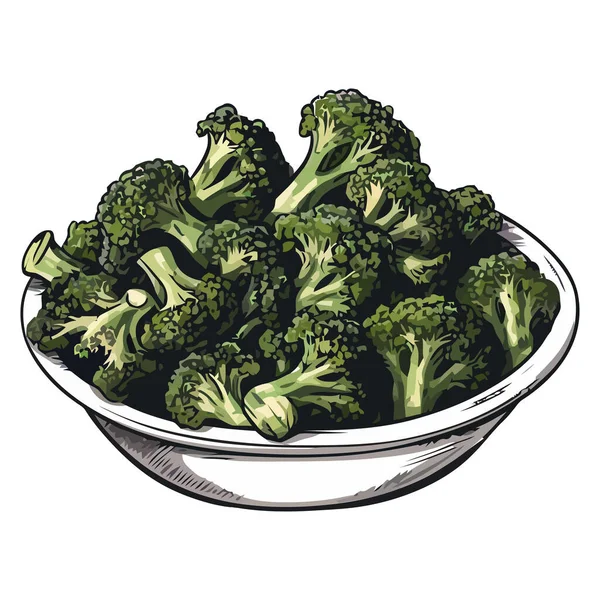 Brócolos Orgânicos Frescos Uma Refeição Vegetariana Saudável Isolado — Vetor de Stock