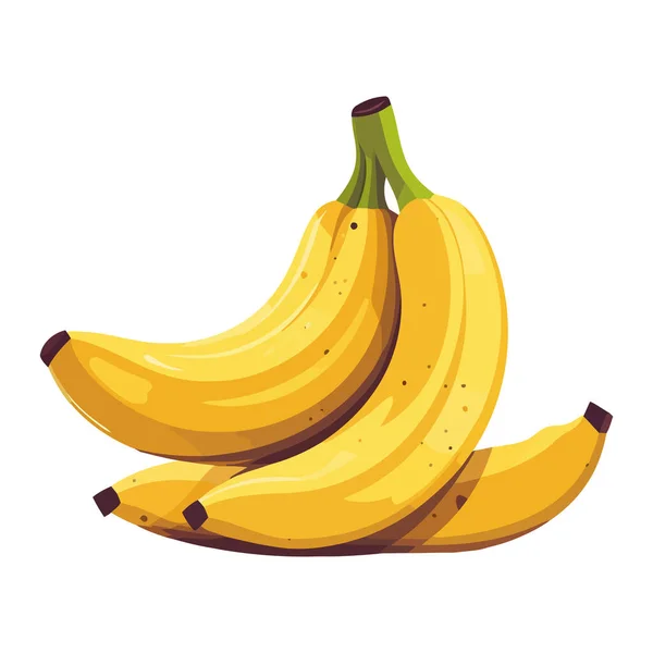 Zralý Banán Ikona Zdravého Stravování Izolované — Stockový vektor