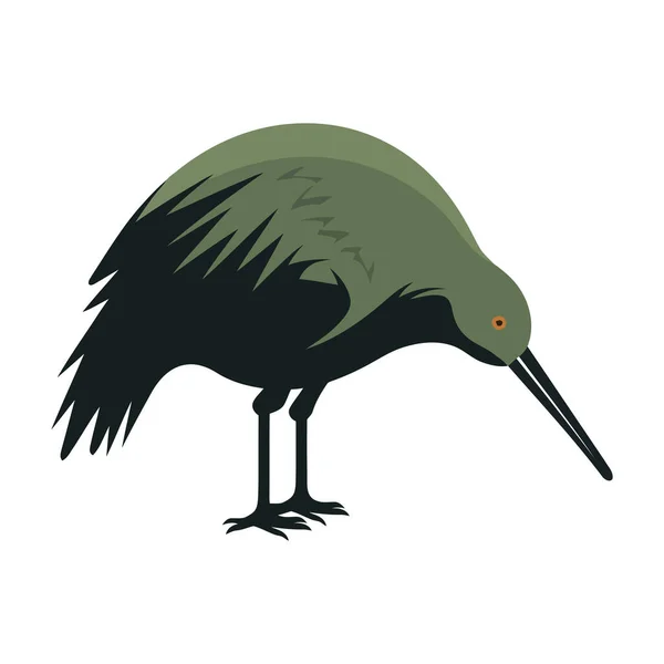 Cartoon Exotic Kiwi Bird Icon Isolated — Stock Vector