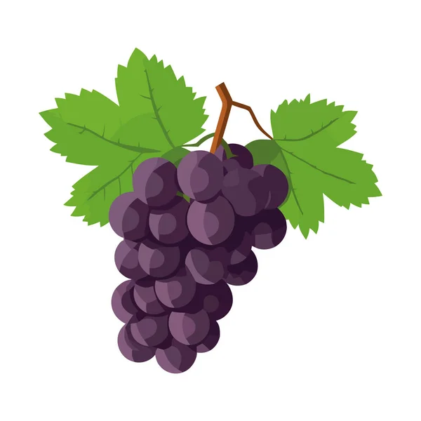 Fresh Grape Bunches Ripe Icon Isolated — Stock Vector