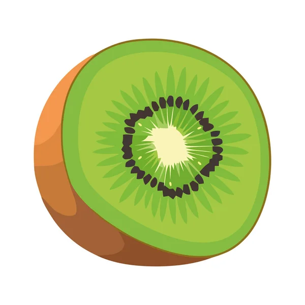 Saftige Kiwi Scheibe Frisch Aus Der Natur — Stockvektor