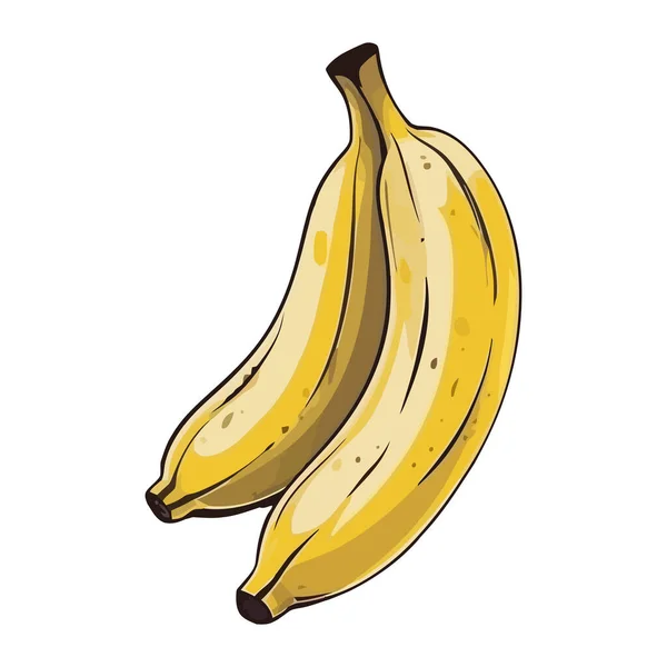 Reife Banane Ein Gesunder Snack Von Natur Ikone Isoliert — Stockvektor