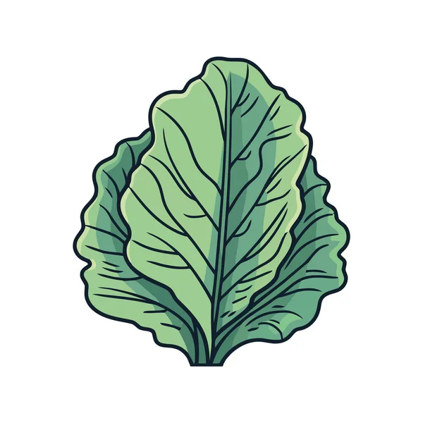 Изолированные Зеленые Листья Природы Свежесть — стоковый вектор