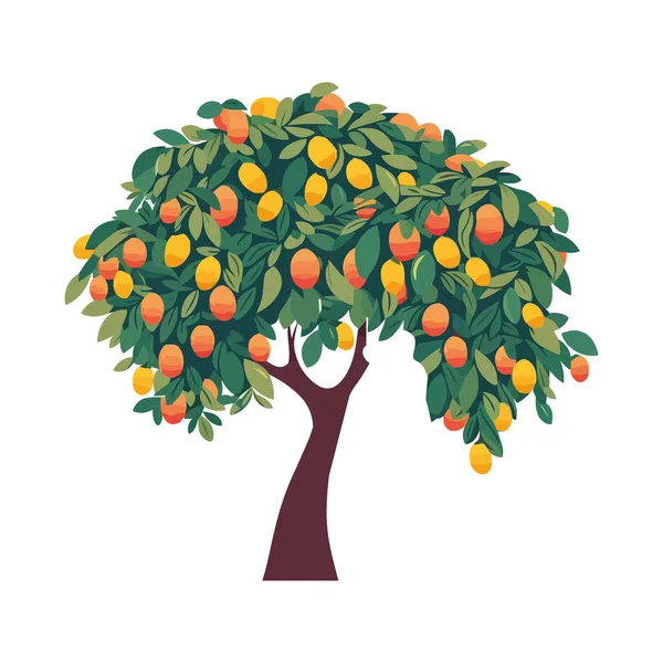 Oranges Tree Harvest Fruits Icon Isolated — Stock Vector
