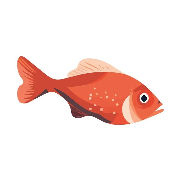 Zlaté Rybky Plavání Design Přes Bílou — Stockový vektor