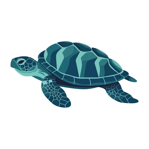 Schattig Schildpad Ontwerp Wit — Stockvector
