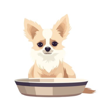 Beyazların üzerinde oturan neşeli köpek yavrusu