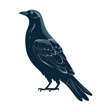 beyaz üzerine tünemiş karga tasarımı