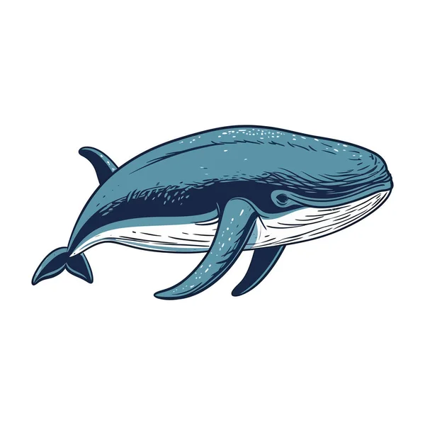 Cute Whale Design White — Vettoriale Stock