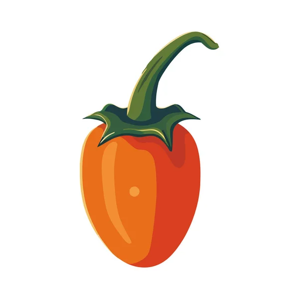 白の上に新鮮な有機オレンジペッパー — ストックベクタ