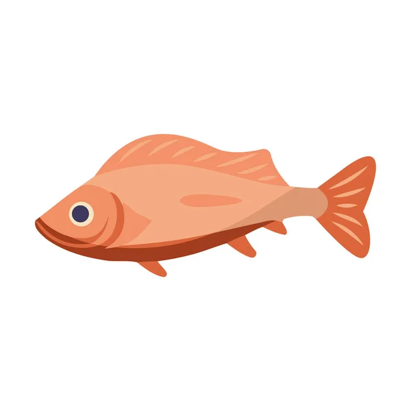 Χαριτωμένο Ψάρι Κολύμπι Σχεδιασμό Πάνω Από Λευκό — Διανυσματικό Αρχείο