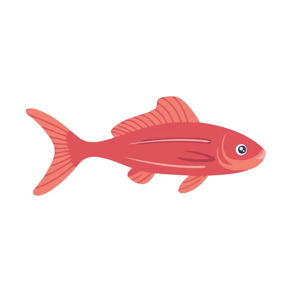 Cute Fish Swimming White — Stock Vector
