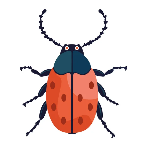 Cute Ladybug Crawling White — Stock Vector