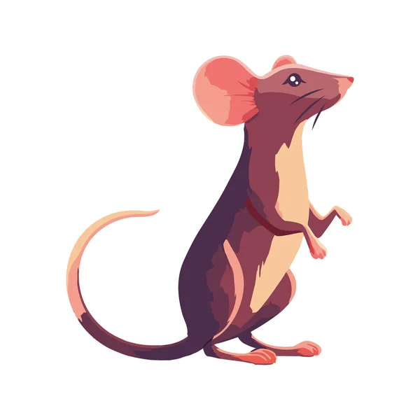 Liten Råtta Sittande Över Vitt — Stock vektor