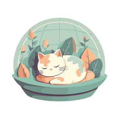 Beyaz üzerinde kristal bir kürede uyuyan sevimli kedi yavrusu.