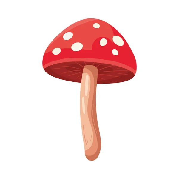 白い上に赤い真菌ベクターのデザイン — ストックベクタ