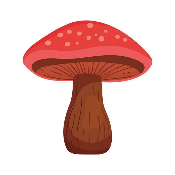 Red Fungus Illustration Vector White — Stock Vector