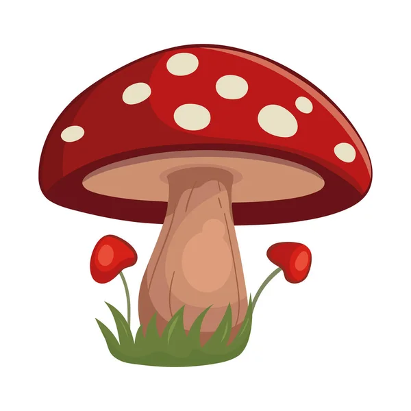 Illustrazione Vettoriale Fungo Rosso Bianco — Vettoriale Stock